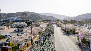 ▲韓國慶州櫻花馬拉松，今年將於4月6日舉辦，共有5K、10K以及21K三種項目供旅人選擇。（圖／可樂旅遊提供）