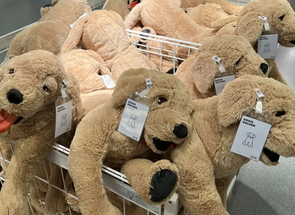 ▲IKEA的黃金獵犬玩偶非常受到歡迎，因為材質柔軟，常常被許多愛狗人士買來擺飾或當靠枕。（圖/Dcard）