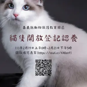 ▲為求公平起見,避免認養序位認定引起爭議,將於2月19日上午8點至23日下午5點,採用網路填表方式開放認養登記。(圖/取自嘉義縣家畜疾病防治所臉書) ▲為求公平起見,避免認養序位認定引起爭議,將於2月19日上午8點至23日下午5點,採用網路填表方式開放認養登記。(圖/取自嘉義縣家畜疾病防治所臉書)