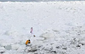 落海15分鐘就致命！台夫婦踩北海道流冰拍美照　海保廳籲危險別做
