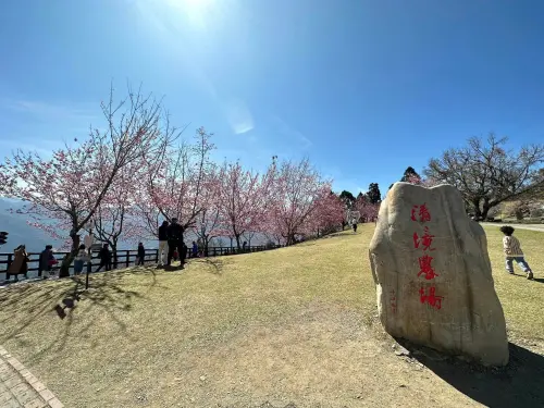 ▲一年一度清境農場盛典「奔羊節」將在2月23日登場。（圖／清境農場臉書）