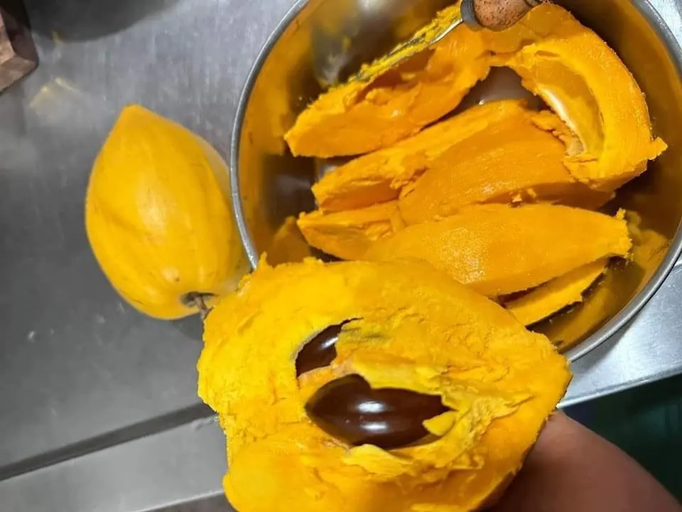 ▲有民眾分享吃到隱藏版「金黃仙桃」的喜悅，更驚呼「一堆台灣人不知道有這種水果」，但貼文卻吸引一眾老饕秒認出身分。（圖／取自爆廢公社二館）