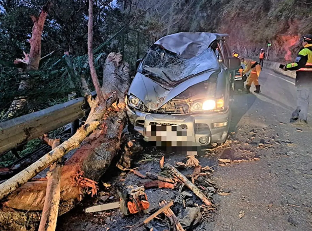 ▲本月11日大年初二，王姓男子與朱姓妻子，從台中駕駛廂型車至台東旅遊，不料卻在行經台8線161.2公里處時，遭一棵粗大樹木擊中車子，王男頭部重創送醫不治。（圖／翻攝畫面）