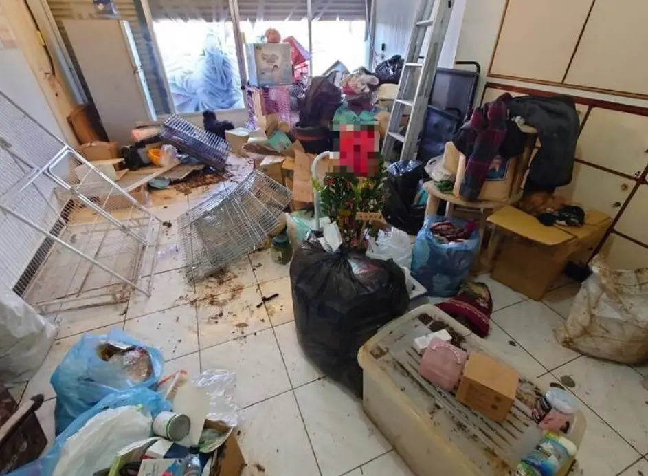 ▲何女涉嫌虐貓案件曝光後，引發社會譁然，相關人員前往何女住處稽查時，驚見屋內髒亂惡臭，滿地貓屍骸，根本是毛孩地獄。（圖／翻攝畫面）