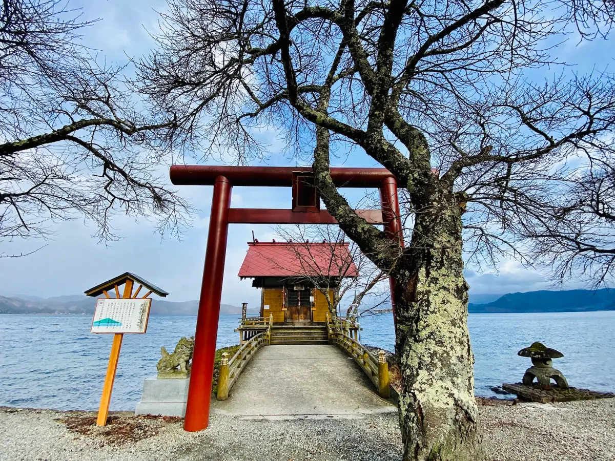 ▲日本二三線城市深度旅遊夯，燦星旅遊攜手台灣虎航包機「直飛秋田」銷售一空，有台灣旅客「搬20公斤秋田米回台灣」，燦星宣布將續飛到2025年。（圖／記者蕭涵云攝）