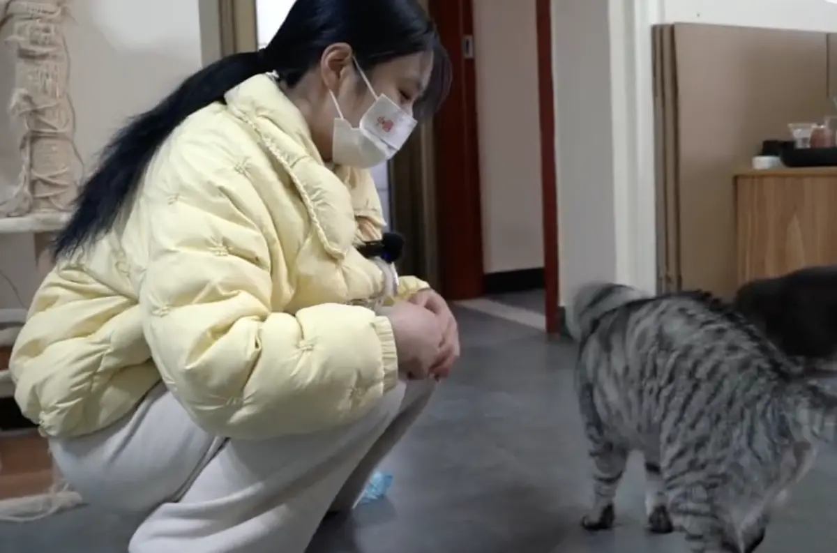 ▲在少子化的影響下，近幾年寵物經濟也越來越興盛，寵物託管師就是其中一項新興職業。（圖／翻攝自微博）