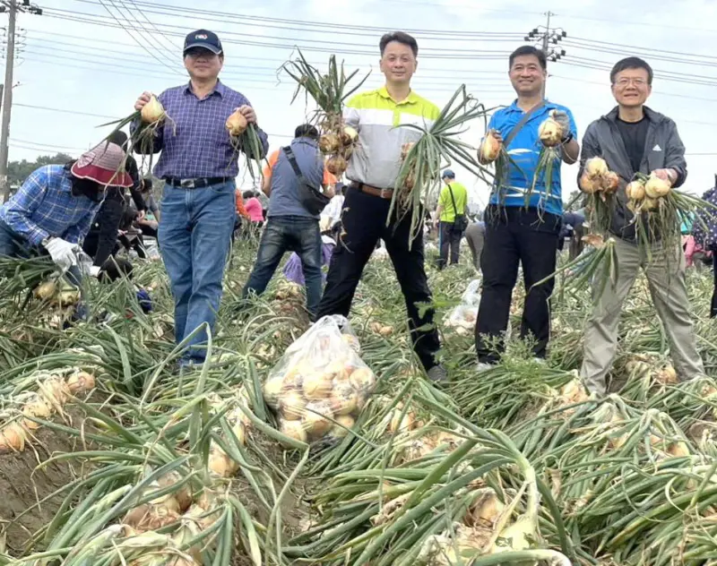 ▲台電公司大林發電廠舉辦親子摘洋蔥活動，廠長洪貴忠(右1)參與活動。(圖／台電大林發電廠提供)