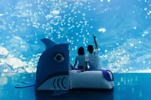 ▲COZZI Blu和逸飯店桃園館的「Blu Night巧遊趣」，可夜宿 Xpark 水族館。（圖／國泰飯店提供）