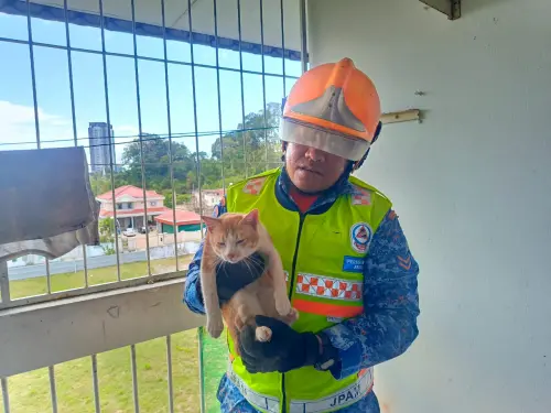 ▲馬來西亞消防隊日前接獲通報，一隻胖橘貓因為貪玩想偷窺浴室，竟卡在牆上的小洞裡，僅露出貓頭一臉尷尬地等待救援。（圖／翻攝自臉書「APM Kota Kinabalu」）