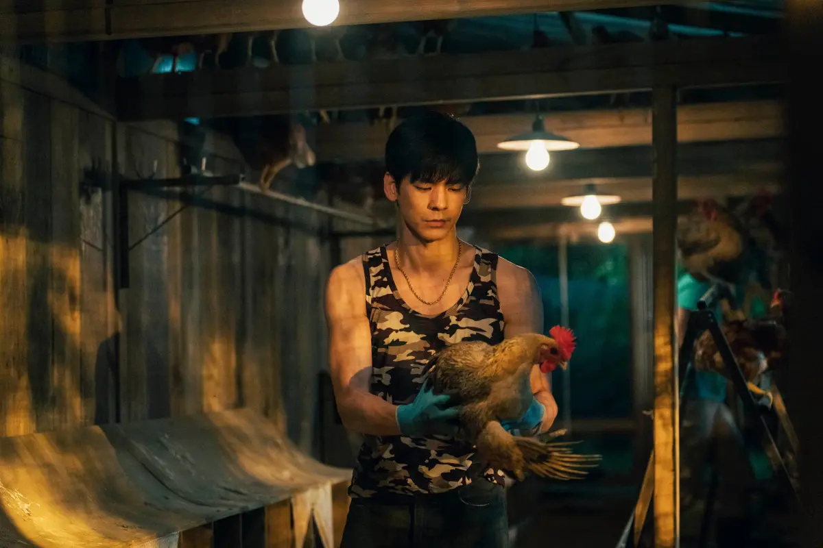 ▲林柏宏在新片《莎莉》中徒手抓雞、到市場賣肉，800隻雞失控亂飛場景全拍下。（圖／伯樂影業）