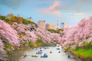 ▲可乘坐花筏賞櫻的千鳥淵，是東京相當熱門的賞櫻勝地。（圖／易遊網提供）