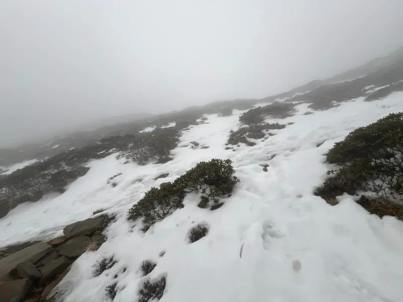 ▲雪霸國家公園黑森林地面自昨（1）日就開始明顯結冰。（圖／山友王翰宇授權提供）