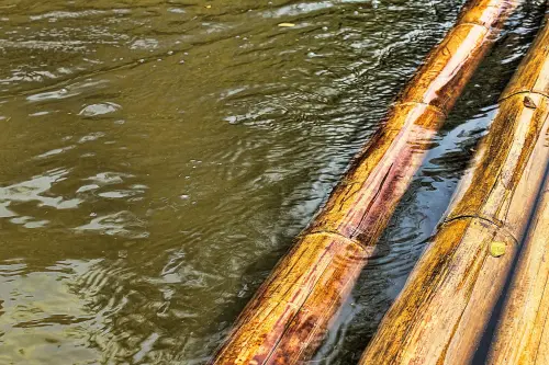 ▲日本廣島宮島有一名專業製筏師，每天都必須扛著6、70公斤重的竹竿製作牡蠣養殖竹筏，導致右邊非常強壯，甚至長出毛來保護皮膚。（示意圖／取自Pixabay）