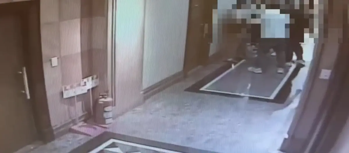 ▲修杰楷、王柏傑在制止過程中與對方互相拉扯，進而導致身體多處受到擦挫傷。（圖／翻攝畫面）