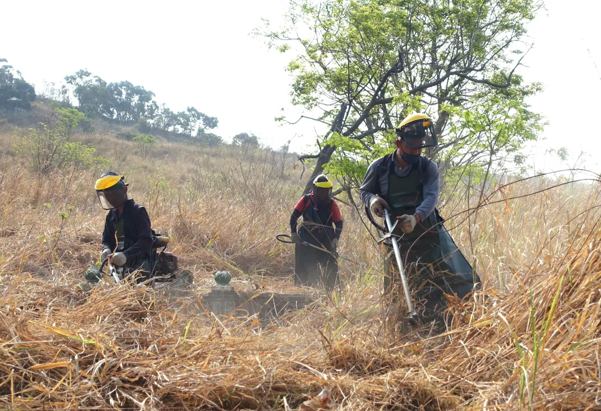 ▲台中市府啟動各區公墓除草作業(圖／民政局提供2024.3.6)
