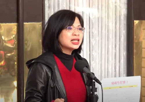 保母也要找便宜的?機構拚收養換服務費 林淑芬批把孩子推進深淵