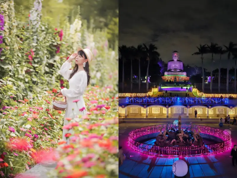 ▲彰化二日遊｜員林吃美食拍美照，精彩大佛光雕秀、浪漫蜀葵花季，把彰化玩好玩滿！