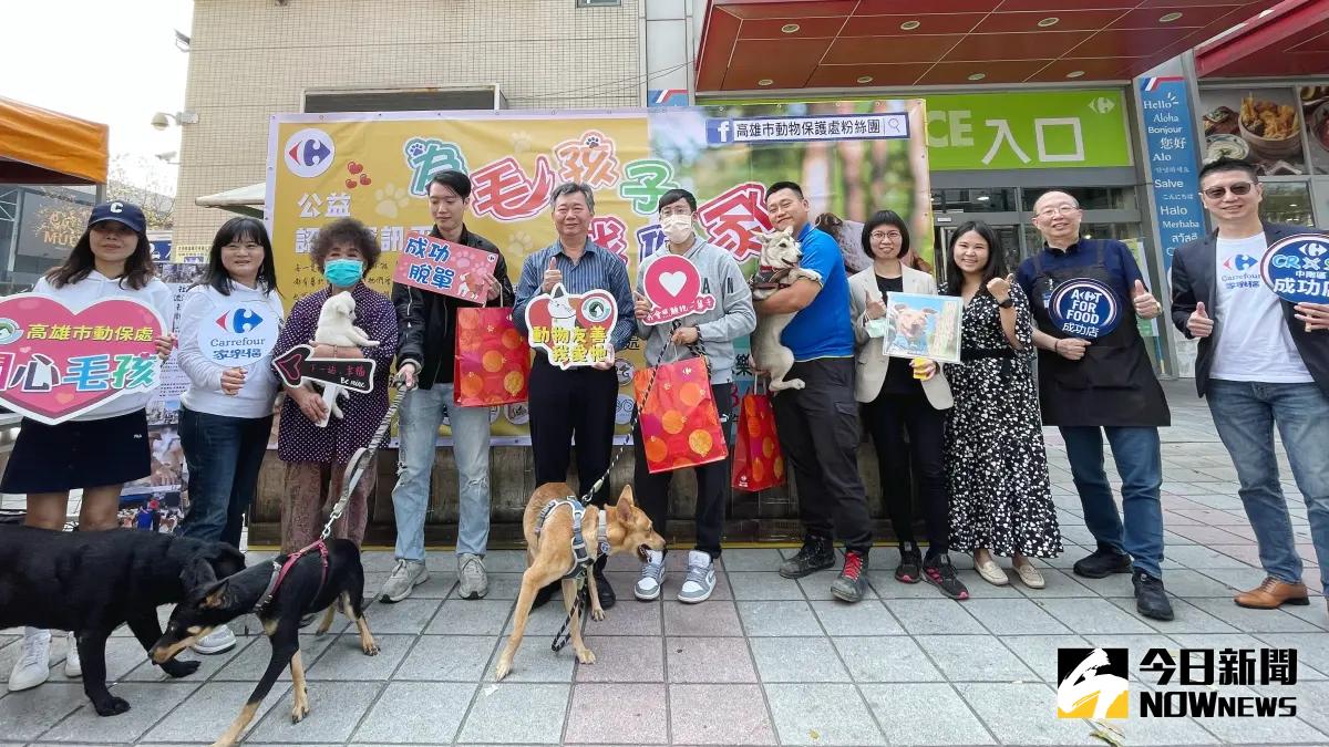 ▲「為毛孩子找個家」快樂幸福認養會，今年將於高雄家樂福舉辦13場。（圖／記者陳美嘉攝，2024.03.09）