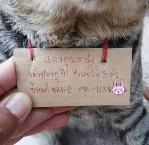 ▲ 魚攤販留下地址和電話，讓貓主人記得去付錢。（圖／翻攝自臉書）