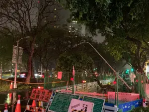 北市敦化南路3公尺路樹倒塌！1自小客慘遭砸　影響慢車道
