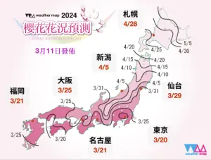 ▲Weather map於昨（11）日公布，東京將是最早開花區域，為3月20日，大阪則為3月25日。（圖／翻攝Weather map網站）