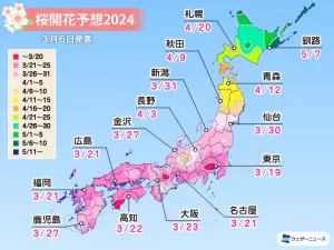 ▲「Weather News」公布日本櫻花最早開花地區為東京。（圖／取自Weather News網站）
