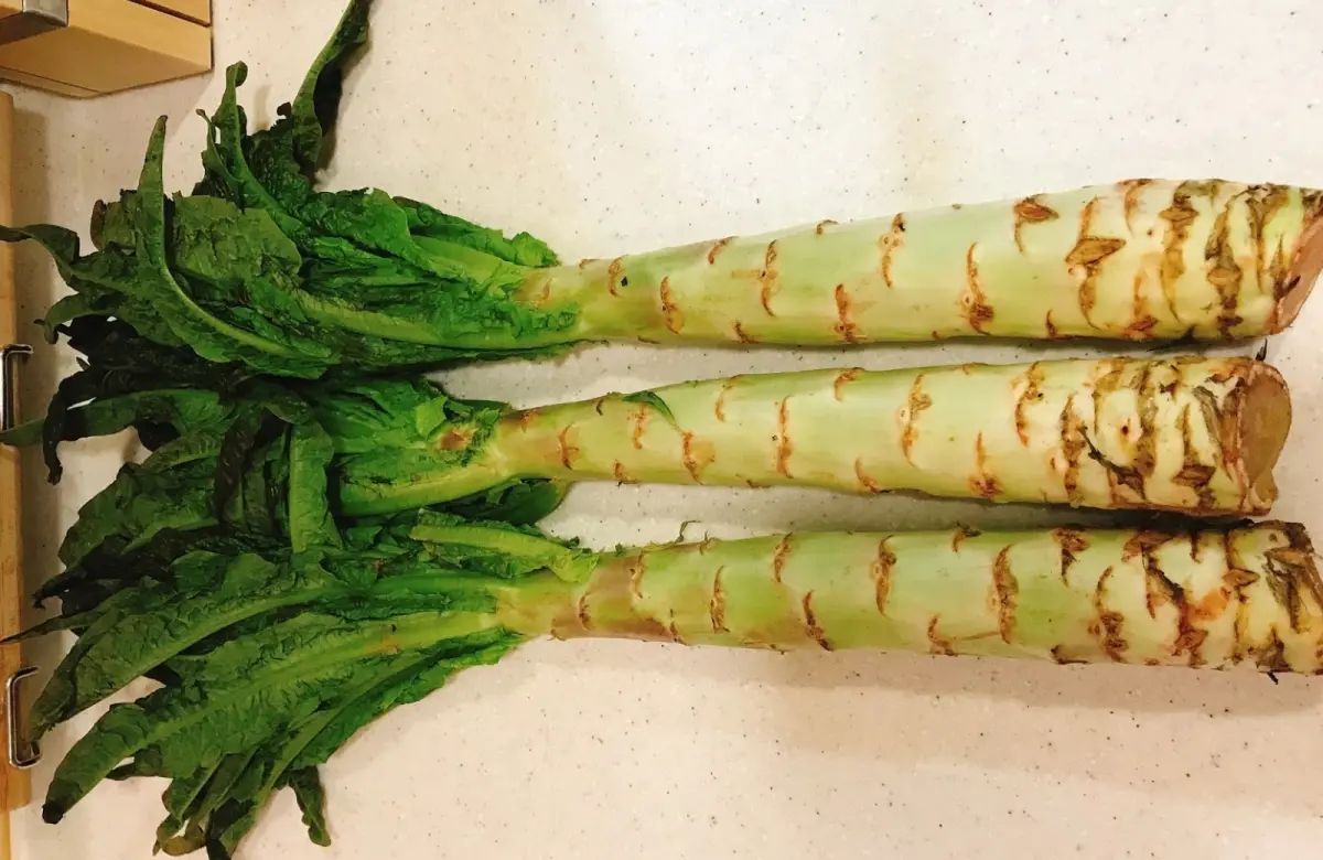 ▲網友分享一款蔬菜表示「這個季節就是要吃這個」！引來大批人詢問「這是什麼蔬菜？要在哪裡買！」（圖/家常菜臉書）