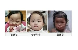 ▲有韓國網友整理鄭仁在寄養家庭以及被領養後的照片，變化清晰可見。（圖／翻攝自X）