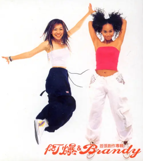 ▲「阿爆&Brandy」於2003年出道。（圖／翻攝台灣流行資料庫）