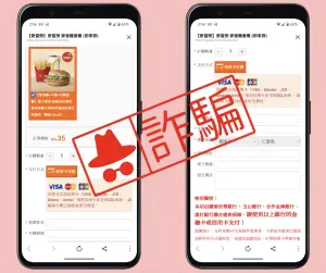 ▲根據MyGoPen的調查發現，山寨版麥當勞網站，主要就是要誘騙民眾的信用卡資料。（圖／翻攝MyGoPen）