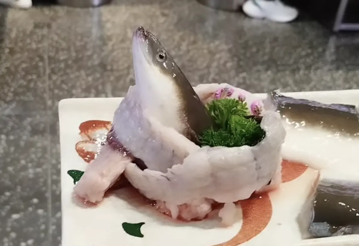 ▲有民眾前往「北村韓食」用餐時，拍下鰻魚被切片後，魚頭還在扭動的畫面，看起來十分獵奇。（圖／讀者提供）