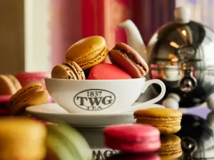 ▲3月20日世界馬卡龍日，新加坡TWG Tea祭出一年一度「馬卡龍買一送一」快閃優惠。（圖／TWG Tea提供）
