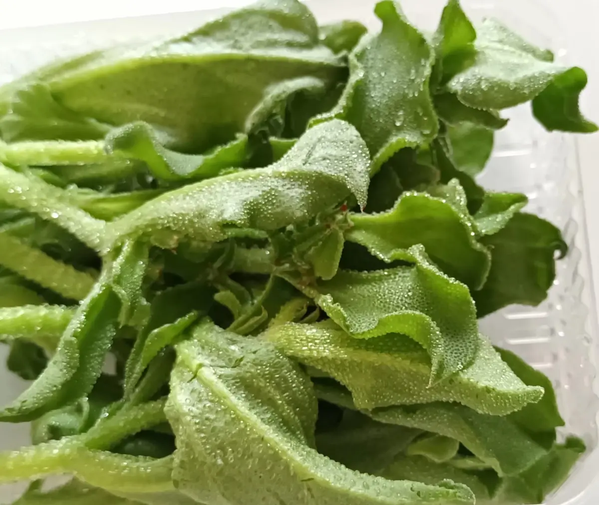 ▲有主婦發現全聯開賣「絕美冰花」，一小盒就破百元，但仍豪不猶豫地買下。（圖／取自「我愛全聯-好物老實説」）