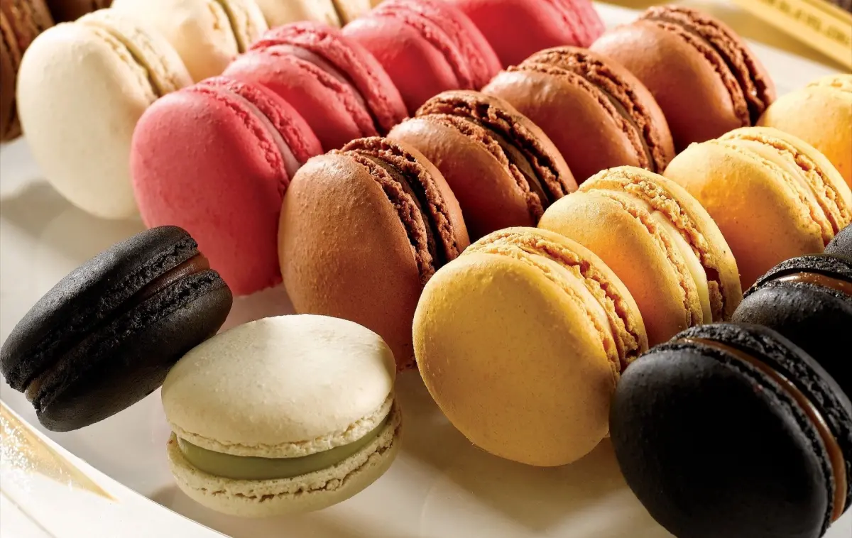 ▲3月20日世界馬卡龍日World Macaron Day，TWG Tea六入盒裝茶香馬卡龍買一送一，爽吃「馬卡龍買6送6」！亞尼克內湖旗艦店、捷運北車店開幕「100元生乳捲」優惠。（圖／TWG Tea提供）