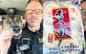 台灣零食太正點了!外國警犬狂吃爆紅 牠超滿足:哪一國的美食?