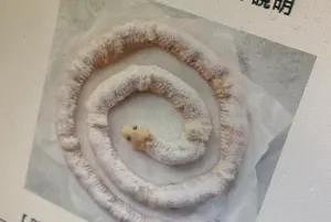 必勝客沒極限了!愚人節新品「芝心蛇圈圈」疑瘋傳 員工集體傻眼