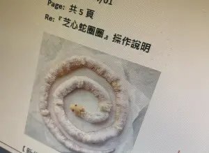 ▲必勝客員工出面爆料今年公司愚人節要開賣的披薩,名為「芝心蛇圈圈」,讓大批員工對此感到不滿。(圖/靠北必勝客) ▲必勝客員工出面爆料今年公司愚人節要開賣的披薩,名為「芝心蛇圈圈」,讓大批員工對此感到不滿。(圖/靠北必勝客)