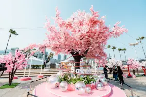 ▲「高雄櫻花季」的櫻花為裝置藝術品，雖然不是真的，但壯觀景色仍吸引大批民眾拍照打卡。（圖／寬寬整合行銷）