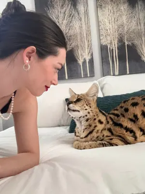 ▲這次的主角藪貓名叫克羅伊(chloe),今年已經是18歲高齡,從小就跟飼主科貝爾(Shannon Corbeil) 一家人生活在一起。(圖/取自IG@chloetheserval) ▲這次的主角藪貓名叫克羅伊(chloe),今年已經是18歲高齡,從小就跟飼主科貝爾(Shannon Corbeil) 一家人生活在一起。(圖/取自IG@chloetheserval)