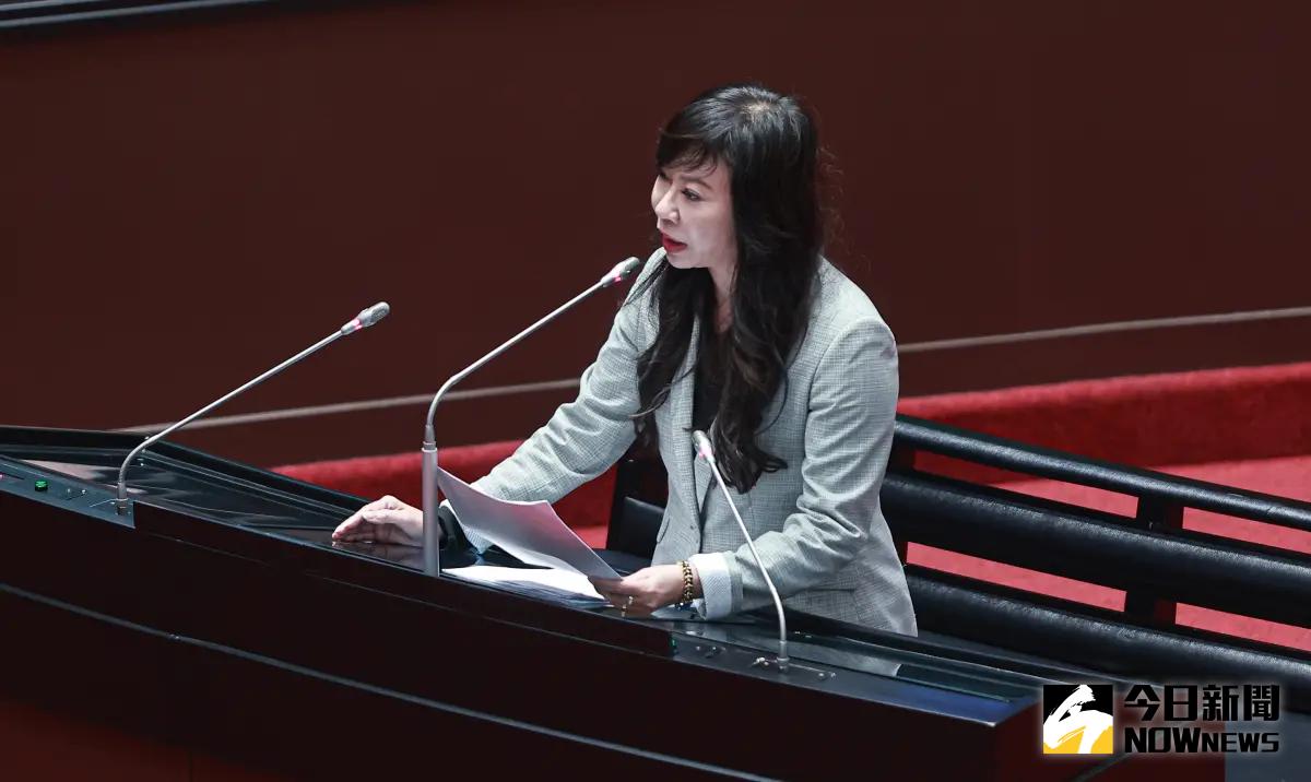 ▲南非又逼我國駐館遷離首都，民眾黨立委林憶君呼籲外交部不該默不吭聲。（圖／記者葉政勳攝 ）