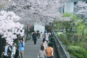 日本追許光漢《青春18x2》8大電影場景 一秘境拍櫻花與晴空塔同框
