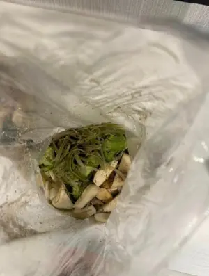 ▲顧客貼出850元的鹽水雞真實份量,給各路網友評理。(圖/取自爆料公社) ▲顧客貼出850元的鹽水雞真實份量,給各路網友評理。(圖/取自爆料公社)