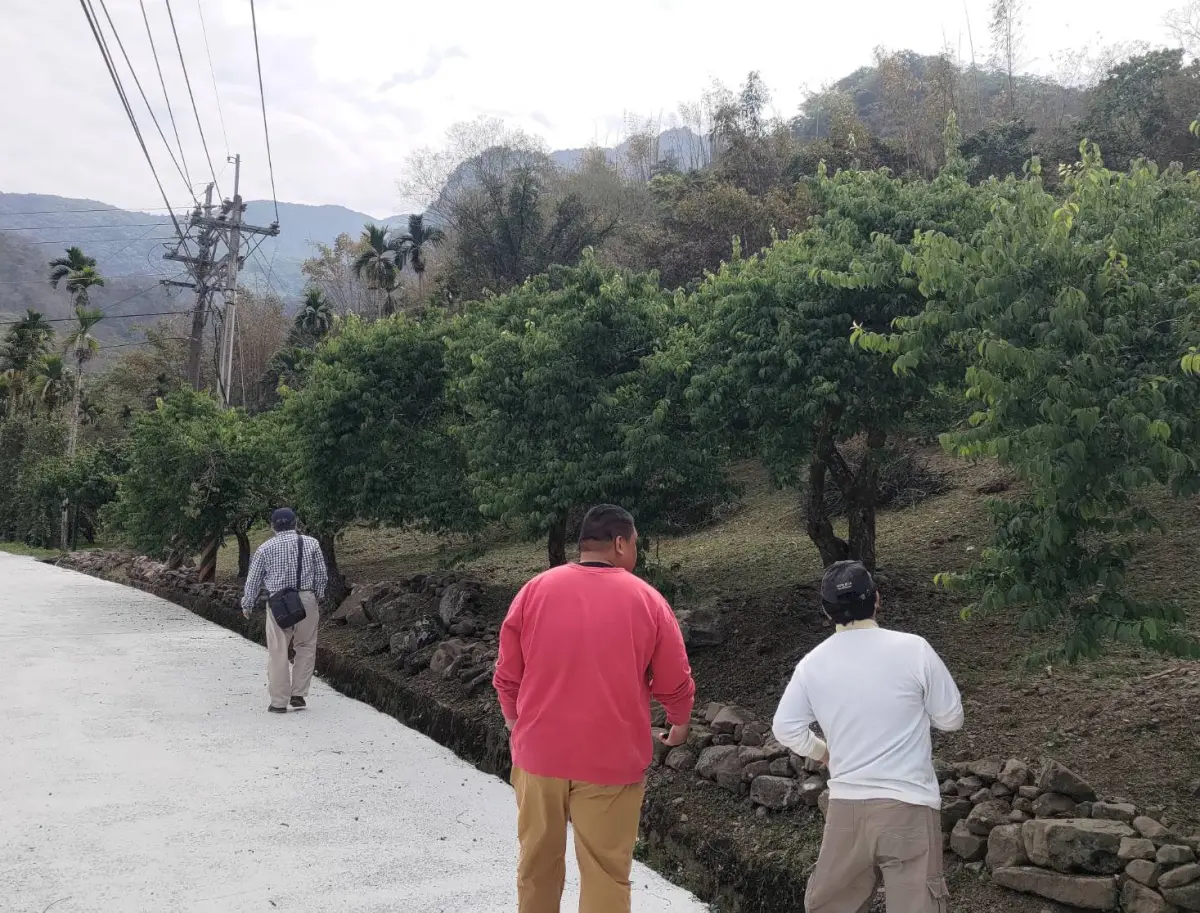 ▲氣候異常農作受災高市農業局籲請農友主動通報,協助農友減輕損失。(圖／高市府農業局提供）