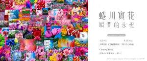 ▲世界級攝影藝術家「蜷川實花3D裸視影像」，在DIAMOND TOWERS全球首映。（圖／品牌提供）