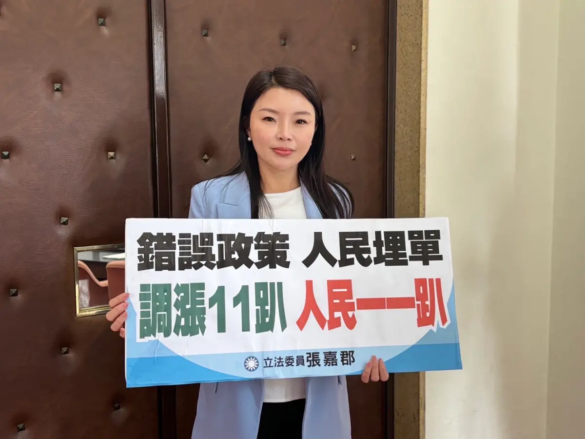 ▲國民黨立委張嘉郡說，民進黨執政8年，電價調漲超過35％。（圖／張嘉郡提供）