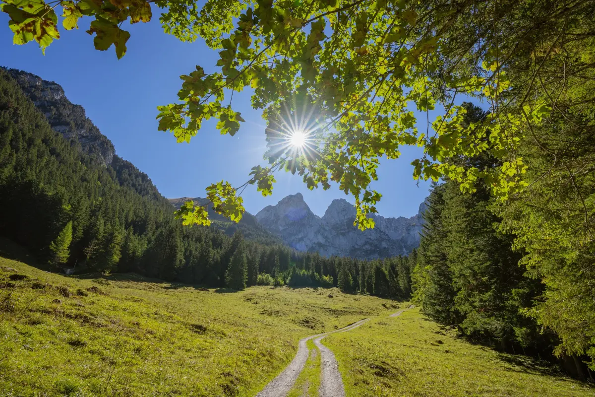 ▲清明節掃墓注意，根據衛福部疾管署統計，今年截至3月恙蟲通報個案數達27例，其中花東12例為全國最多。（圖／取自pixabay）