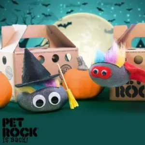 ▲「寵物石頭」最初源自於70年代在美國風靡一時的商品「Pet Rock」。（圖／petrock官方網站）