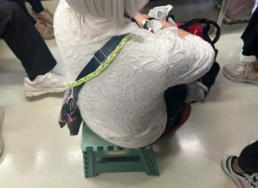 ▲有民眾昨（30）日在車廂內目睹，一名留著白髮的女乘客，身上竟自備摺疊式椅子，在空著的博愛座前坐下。（圖／取自爆料公社）