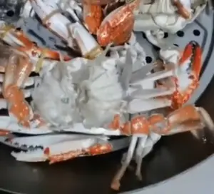 便宜真沒好貨！中國男狂買30箱螃蟹以為賺到　煮完崩潰：全是空殼
