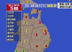 日本岩手縣規模6地震釀2傷！無海嘯警報　當局示警：未來1週注意

